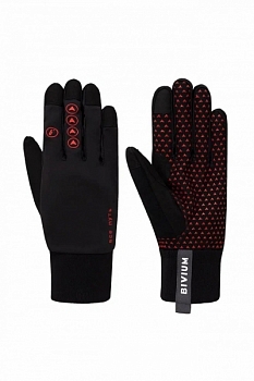 �������� ���������� "Bivium Ski 2.0"����.