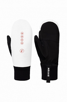 ������� ������ "Bivium Cloud 2.0" �����