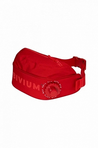 ����� � �������� ����� "BIVIUM 2.0"